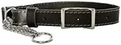 Euro-Dog Affordable European Luxury Soft Leather Martingale Dog Collar Made In USA -Zoomie Shop 21K6u82Pb7L. AC
