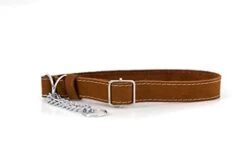 Euro-Dog Affordable European Luxury Soft Leather Martingale Dog Collar Made In USA