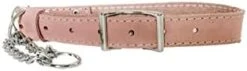 Euro-Dog Affordable European Luxury Soft Leather Martingale Dog Collar Made In USA -Zoomie Shop 21okj9iQQKL. AC