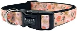Aloha Dog Co Dog Collar Tropical Floral Hawaii Personalized Soft Comfortable Adjustable Basic Collars For Small Medium Large Dogs Walking Running Training (Medium, Donut) -Zoomie Shop 315E6oQ6cL. AC 1