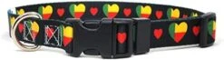 Dog Collar | I Love Benin | Hearts | Great For National Holidays, Special Events, Festivals, Parades | Made In USA | XSmall Small Medium Large XLarge -Zoomie Shop 31CNGW8u62L. AC 2