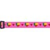 Dog Collar | I Love Benin | Hearts | Great For National Holidays, Special Events, Festivals, Parades | Made In USA | XSmall Small Medium Large XLarge