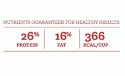 Loyall Life All Life Stages Chicken & Brown Rice Recipe Dog Food (20 Pounds) 11 Loyall Life All Life Stages Chicken & Brown Rice Recipe Dog Food (20 Pounds) -Zoomie Shop 31GGbeixIsL