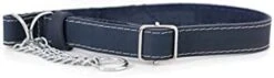 Euro-Dog Affordable European Luxury Soft Leather Martingale Dog Collar Made In USA -Zoomie Shop 31KWtFS 4RL. AC