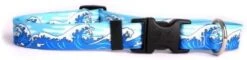 Mystic Waves Blue Dog Collar - Size Large 18" To 28" Long 20 Mystic Waves Blue Dog Collar - Size Large 18" To 28" Long -Zoomie Shop 31SeWEGxthL. AC
