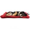 Portable Travel Dog Mat Outdoor Dog Bed Waterproof Camping Pet Pad With Carry Handle Large Dog Bed (X-Large,Red)