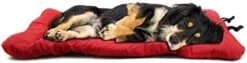 Portable Travel Dog Mat Outdoor Dog Bed Waterproof Camping Pet Pad With Carry Handle Large Dog Bed (X-Large,Red) -Zoomie Shop 31U4SBEe0VL. AC