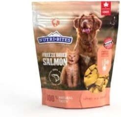 Nutri Bites (Value Pack) Beef Liver Pets Treats Freeze Dried Premium Quality Single Ingredients High Protein 17.6 OZ For Dogs And Cats -Zoomie Shop 31VLJOJ6FXL. AC