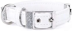 MyFamily Adjustable Dog Collar Made In Italy Italian Leatherette, White Bronze Metallic Finishes, Comfortable And Durable, Handmade, Saint Tropez Collection -Zoomie Shop 31XnKJgbaFL. AC 1