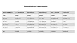 Purina Pro Plan Large Breed Dry Puppy Food, Chicken And Rice Formula - 34 Lb. Bag -Zoomie Shop 31e7hvNA6ZL