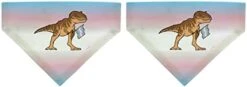 Trans Flag Gifts T-Rex Trans Flag Pet Collar Scarf Bib For Medium To Larger Dogs -Zoomie Shop 31g7FpJEmML. AC