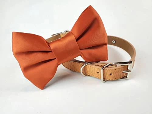 Burnt Orange Dog Bowtie Collar, Dog Wedding Collar, Terracotta Wedding Dog Collar, Formal Dog Collar, Wedding Apparel For Dogs, Dog Collars, Formal Dog Collars (Large: 13.5-16.5" Neck) 2 Burnt Orange Dog Bowtie Collar, Dog Wedding Collar, Terracotta Wedding Dog Collar, Formal Dog Collar, Wedding Apparel For Dogs, Dog Collars, Formal Dog Collars (Large: 13.5-16.5" Neck) - Image 2