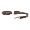 Taco Dog, 2 Pack Pet Combo Handmade From Full Grain Leather - Pet Essentials, Includes Adjustable Collar And Leash, Great Gift For Dog Lovers - Puppy, Small, Medium, Large Dogs - Bourbon Brown