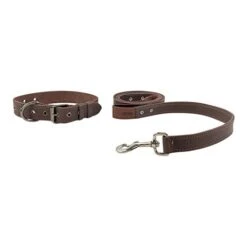 Taco Dog, 2 Pack Pet Combo Handmade From Full Grain Leather - Pet Essentials, Includes Adjustable Collar And Leash, Great Gift For Dog Lovers - Puppy, Small, Medium, Large Dogs - Bourbon Brown