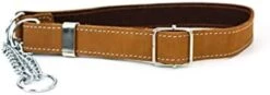 Euro-Dog Affordable European Luxury Soft Leather Martingale Dog Collar Made In USA -Zoomie Shop 31nirCqsg9L. AC
