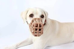 Safe BASKERVILLE ANTI SCAVENGE MUZZLE, Size 7, Dog Can Pant And Drink, Prevents Biting And Food Waste Scavenging, Ideal For Longer Nosed Dogs, Breathable Dog Training Muzzle For Medium & Large Dogs -Zoomie Shop 31tCD6u1EzL