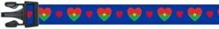Dog Collar | I Love Burkina Faso | Hearts | Great For National Holidays, Special Events, Festivals, Parades | Made In USA | XSmall Small Medium Large XLarge -Zoomie Shop 31ulJOwYL. AC
