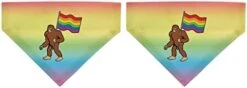 Trans Flag Gifts T-Rex Trans Flag Pet Collar Scarf Bib For Medium To Larger Dogs -Zoomie Shop 31xwbA12L6L. AC