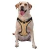 Dog Harness No Pull Walking Pet Harness With Leash, Bagel Food Funny Pattern Adjustable Reflective Oxford Vest With Easy Control Front Clip For Pet Dogs Outdoor