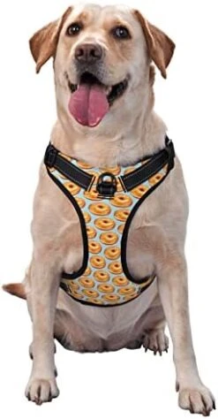 Dog Harness No Pull Walking Pet Harness With Leash, Bagel Food Funny Pattern Adjustable Reflective Oxford Vest With Easy Control Front Clip For Pet Dogs Outdoor 22 Dog Harness No Pull Walking Pet Harness With Leash, Bagel Food Funny Pattern Adjustable Reflective Oxford Vest With Easy Control Front Clip For Pet Dogs Outdoor -Zoomie Shop 410a8ey2RFL. AC 1