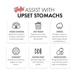 Grandma Lucy's - Simple Replacement -Chicken & White Rice 7Oz -Zoomie Shop 4110AD37flL