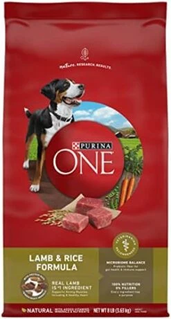 Purina ONE Dry Dog Food Lamb And Rice Formula - 16.5 Lb. Bag 14 Purina ONE Dry Dog Food Lamb And Rice Formula - 16.5 Lb. Bag -Zoomie Shop 4113HEDPdmL. AC