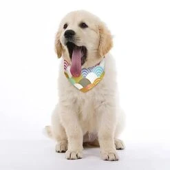 GENERIC Fish Scales Pattern Pet Bandana Collar - Scarf Collar - Art Dog Bandana Minimal Head Cicumference 11 GENERIC Fish Scales Pattern Pet Bandana Collar - Scarf Collar - Art Dog Bandana Minimal Head Cicumference -Zoomie Shop 411BEaIKu0L