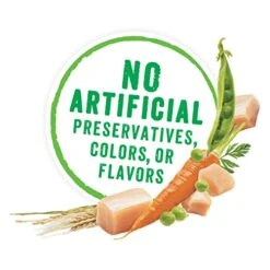 Purina Beneful High Protein Wet Dog Food With Gravy, Prepared Meals Chicken Stew - (8) 10 Oz. Tubs -Zoomie Shop 411NnLyDBzL