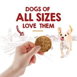 Riley's Waffles Chicken Chips For Dogs With Turmeric, USA Sourced Chicken Dog Treats - Limited Ingredient Healthy Treats, Dehydrated Jerky Dog Treats -Zoomie Shop 411WIakOI6L