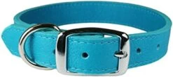 Omnipet Luxe Dog Collar (10, Black) -Zoomie Shop 411vb6O3dVL. AC 2