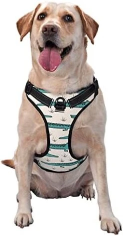 Dog Harness No Pull Walking Pet Harness With Leash, Bagel Food Funny Pattern Adjustable Reflective Oxford Vest With Easy Control Front Clip For Pet Dogs Outdoor 26 Dog Harness No Pull Walking Pet Harness With Leash, Bagel Food Funny Pattern Adjustable Reflective Oxford Vest With Easy Control Front Clip For Pet Dogs Outdoor -Zoomie Shop 411zQHdbzUL. AC 2