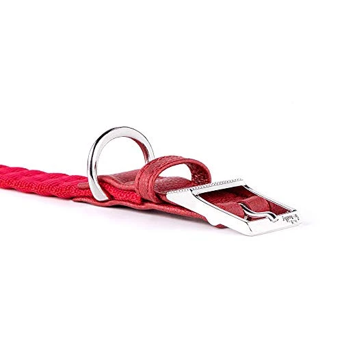 MyFamily Adjustable Dog Collar In Nylon Made In Italy, White Bronze Metallic Finish, Comfortable And Durable, Handmade, Milan Collection 2 MyFamily Adjustable Dog Collar In Nylon Made In Italy, White Bronze Metallic Finish, Comfortable And Durable, Handmade, Milan Collection - Image 2