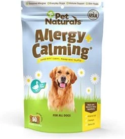 Pet Naturals BusyButter Easy Squeeze Calming Peanut Butter For Dogs, 6 Pouches - Great For Treats, Lick Mats, Training, Calming, And Occupier Toys -Zoomie Shop 413IX7xiAEL. AC