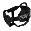 Dean & Tyler 28 To 34-Inch Will Fetch For Food Fun Harness With Padded Chest Piece, Medium, Black With Yellow Trim