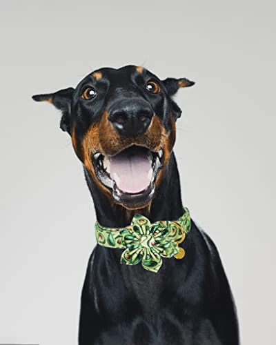 DOGWONG Summer Dog Collar With Flower,Avocado Dog Collar Comfortable Durable Fruit Dog Collar For Small Medium Large Dog 5 DOGWONG Summer Dog Collar With Flower,Avocado Dog Collar Comfortable Durable Fruit Dog Collar For Small Medium Large Dog - Image 5