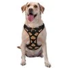 Dog Harness Leash Set Durable Oxford Breathable Reflective Puppy Harness Vest Spaghetti Italian Food For Walking Training Running, No Pull No Choke Pet Dog Harness