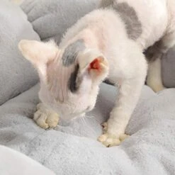 SONGBIRDTH Cat Dog Cushion Round Flower Waterproof Washable Pet Warm Sleeping Plush Bed,Breathable Cotton Blend,Removable Easy To Clean Grey S -Zoomie Shop 414c4LNIrpL