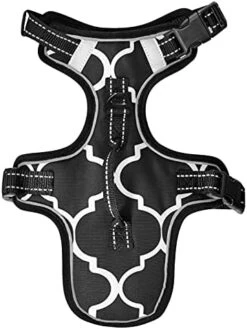 Poeticcity Mushrooms Natural Fungus Mushrooming Organic Food On Brown No Pull Vest Harness, Padded Reflective Adjustable Harnesses For Small To Large Dogs Cats With Leash Clips Easy Control Handle S 25 Poeticcity Mushrooms Natural Fungus Mushrooming Organic Food On Brown No Pull Vest Harness, Padded Reflective Adjustable Harnesses For Small To Large Dogs Cats With Leash Clips Easy Control Handle S -Zoomie Shop 414gJ9lsDML. AC