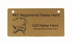 C3370 Irish Setter Standing Crate Tag Personalized With Your Dog's Name