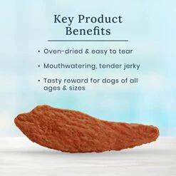 Blue Buffalo True Chews Premium Jerky Cuts Natural Dog Treats, Chicken 32 Oz Bag -Zoomie Shop 415Mw8l9FwL