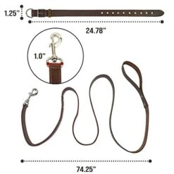 Taco Dog, 2 Pack Pet Combo Handmade From Full Grain Leather - Pet Essentials, Includes Adjustable Collar And Leash, Great Gift For Dog Lovers - Puppy, Small, Medium, Large Dogs - Bourbon Brown -Zoomie Shop 415dmaagUQL