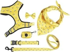 BELWAD Adjustable Dog Harness Breathable Mesh Vest Training Belt Suit Soft Handle Outdoor Breathable Traction Printing Set Of Six,Blue,M -Zoomie Shop 4172Y3unizL. AC 2