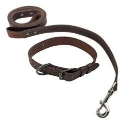 Taco Dog, 2 Pack Pet Combo Handmade From Full Grain Leather - Pet Essentials, Includes Adjustable Collar And Leash, Great Gift For Dog Lovers - Puppy, Small, Medium, Large Dogs - Bourbon Brown -Zoomie Shop 417XOsCJ0RL