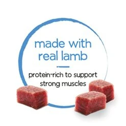 Beneful Purina Infused Wet Dog Food Pate With Real Lamb, Carrots And Spinach, With Sunflower Oil - (8 Packs Of 3) 3 Oz. Sleeves 14 Beneful Purina Infused Wet Dog Food Pate With Real Lamb, Carrots And Spinach, With Sunflower Oil - (8 Packs Of 3) 3 Oz. Sleeves -Zoomie Shop 4181TD9ps2L