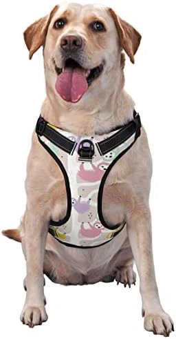 Dog Harness Leash Set Durable Oxford Breathable Reflective Puppy Harness Vest Spaghetti Italian Food For Walking Training Running, No Pull No Choke Pet Dog Harness 10 Dog Harness Leash Set Durable Oxford Breathable Reflective Puppy Harness Vest Spaghetti Italian Food For Walking Training Running, No Pull No Choke Pet Dog Harness - Image 10
