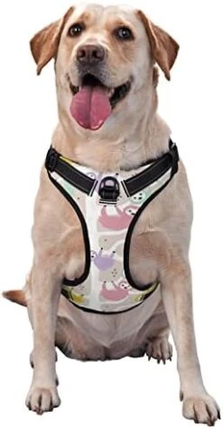 Dog Harness Leash Set Durable Oxford Breathable Reflective Puppy Harness Vest Spaghetti Italian Food For Walking Training Running, No Pull No Choke Pet Dog Harness 23 Dog Harness Leash Set Durable Oxford Breathable Reflective Puppy Harness Vest Spaghetti Italian Food For Walking Training Running, No Pull No Choke Pet Dog Harness -Zoomie Shop 418S ASamOL. AC
