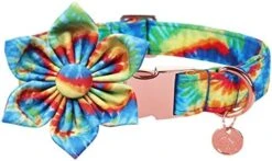 DOGWONG Summer Dog Collar With Flower,Avocado Dog Collar Comfortable Durable Fruit Dog Collar For Small Medium Large Dog 27 DOGWONG Summer Dog Collar With Flower,Avocado Dog Collar Comfortable Durable Fruit Dog Collar For Small Medium Large Dog -Zoomie Shop 418Tq6wojqL. AC