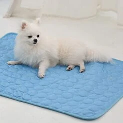 GENERIC Pet Cushion Pet Easy Carry Breathable Cooling Mat Sleeping Pad For Dogs/Cats/Kids/Adults Blanket Cushion For Kennel, Sofa, Bed, Floor, Car Seats For Home Or Outdoor Blue XL -Zoomie Shop 418quTwHw5L
