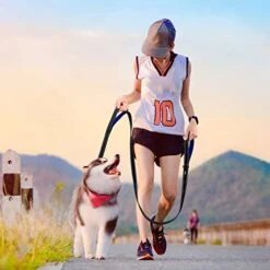 6Ft Double Handle Dog Leash & L Dog Nylon Collar -Zoomie Shop 419J9o0TdRL