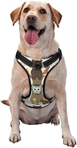 Food Illustration No Pull Dog Harness Adjustable Puppy Harness Reflective Dog Vest Harness Wear-Resistant Oxford Cloth Dog Harness With Leash For Small Medium Large Dogs -Zoomie Shop 41A4Mrnk51L. AC 1